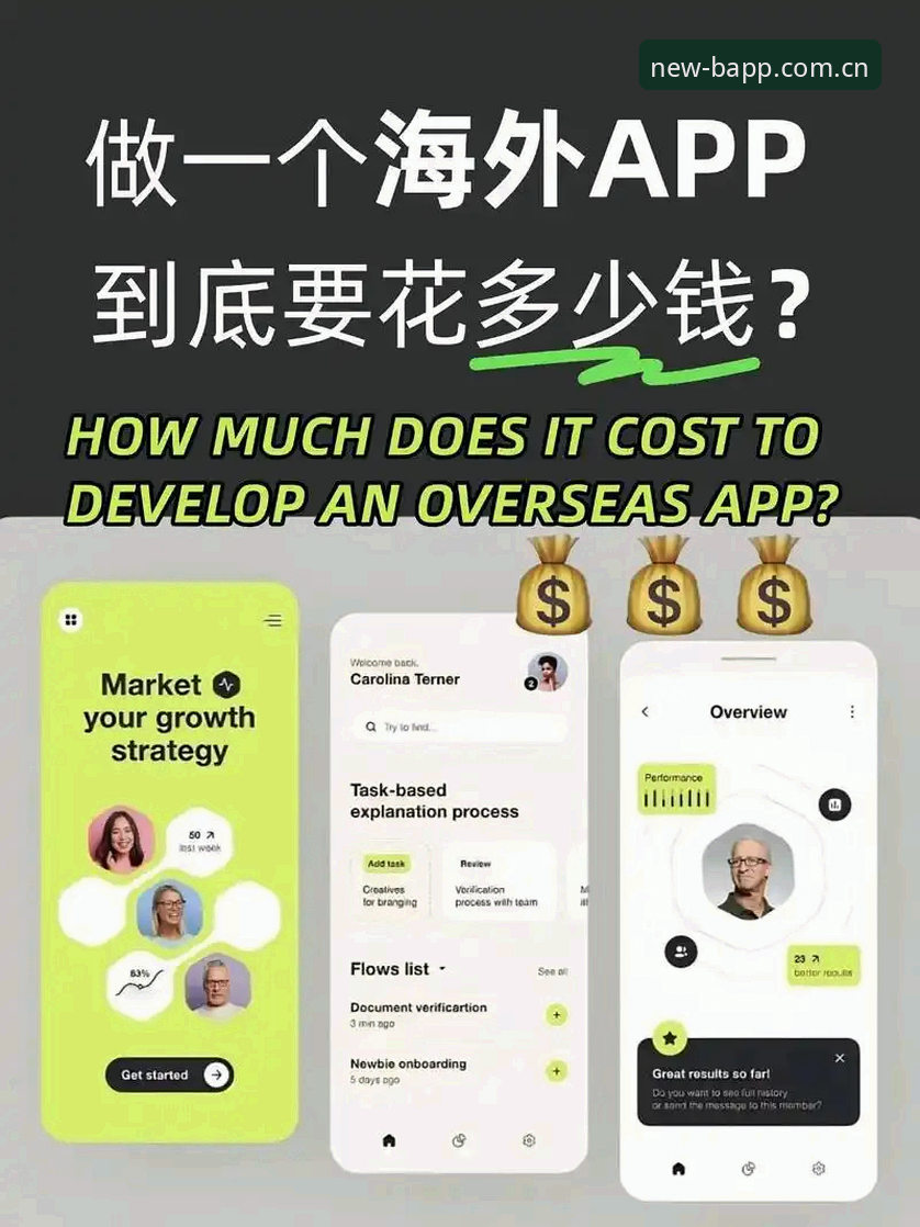 BAPP 2025注册指南：自主匹配vs手动搜索，哪种效率更高？