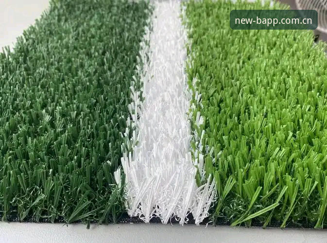 揭秘：草地球场上，只有1%的人知道BAPP最新版中国入口藏着什么