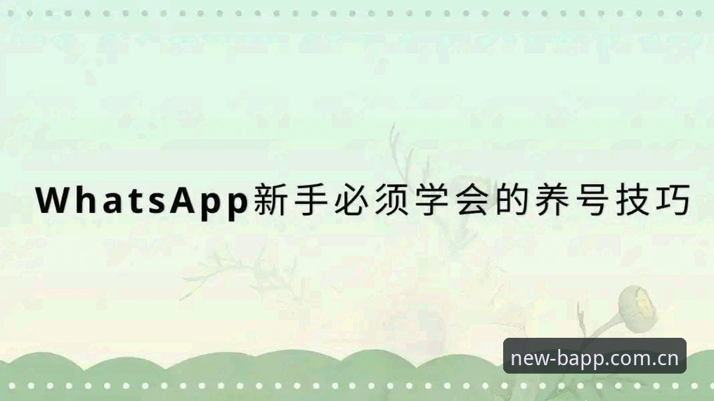 BAPP最新版中国入口 揭秘BAPP最新版中国入口背后:新手常见的五个致命错误和解决路径